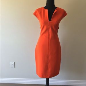 Professional Orange Form Fitting Zara Dress
